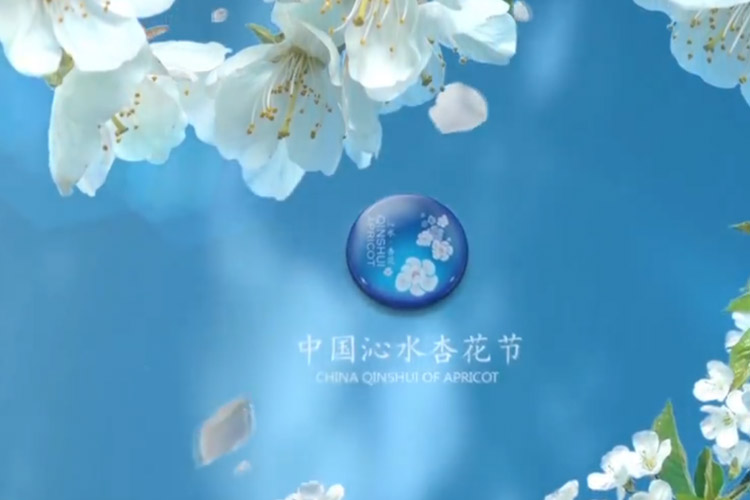 中(zhōng)國(guó)沁水文(wén)化節專題片